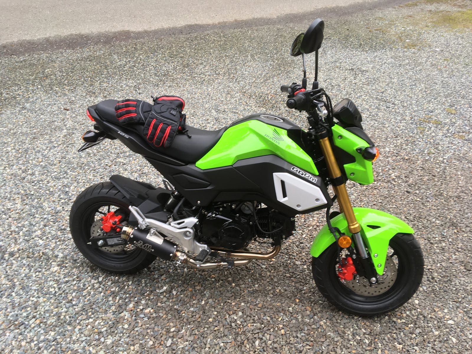 Thinking About It Honda Grom SF & Tuning