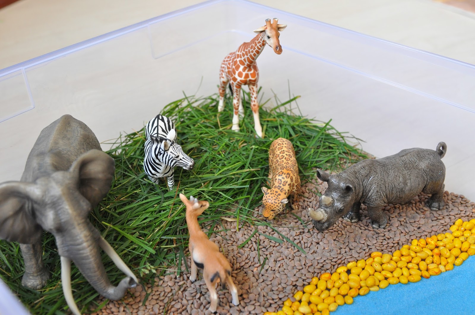 Creative Projects for Kids African Savannah Sensory Bin