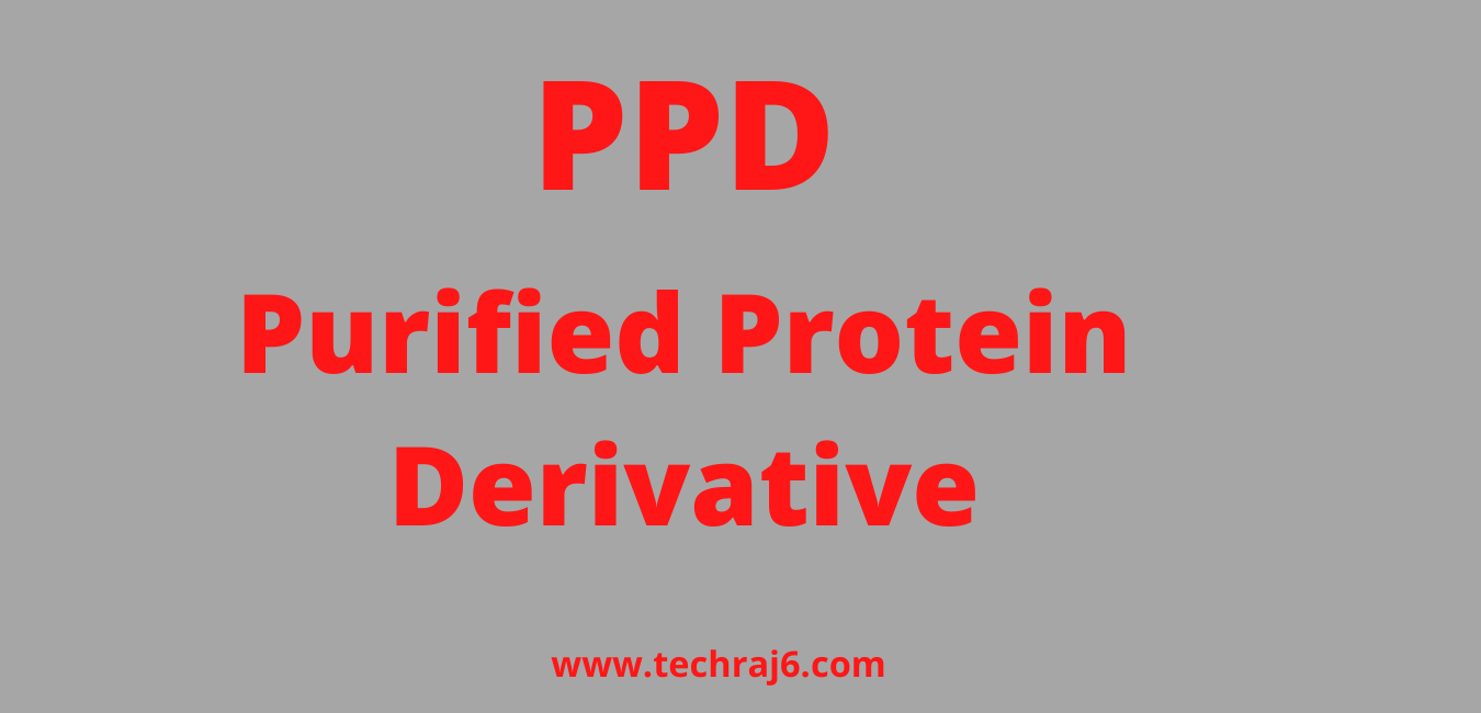 PPD full form, What is the full form of PPD