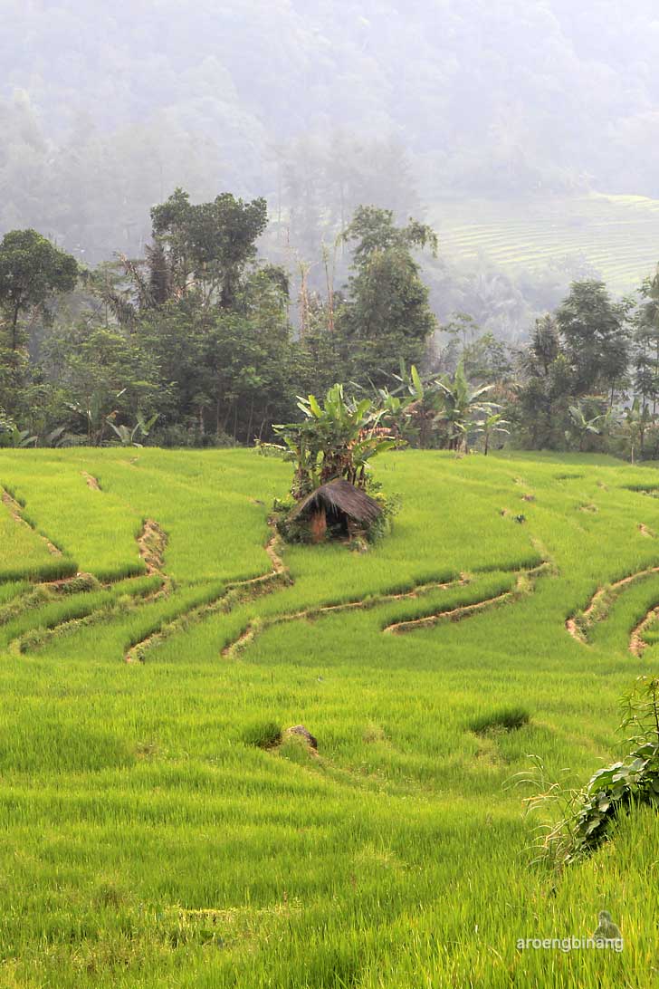 makam syekh maja suta petungkriyono pekalongan
