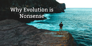 https://biblelovenotes.blogspot.com/2010/08/addressing-error-of-evolution.html