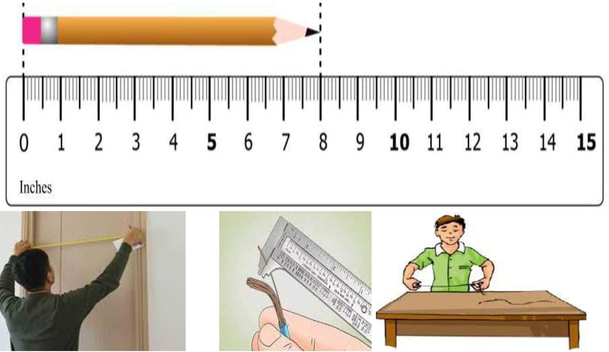 Длина урок в 1 классе. Measures of length. The measure of a Plan. Forehead length measure.