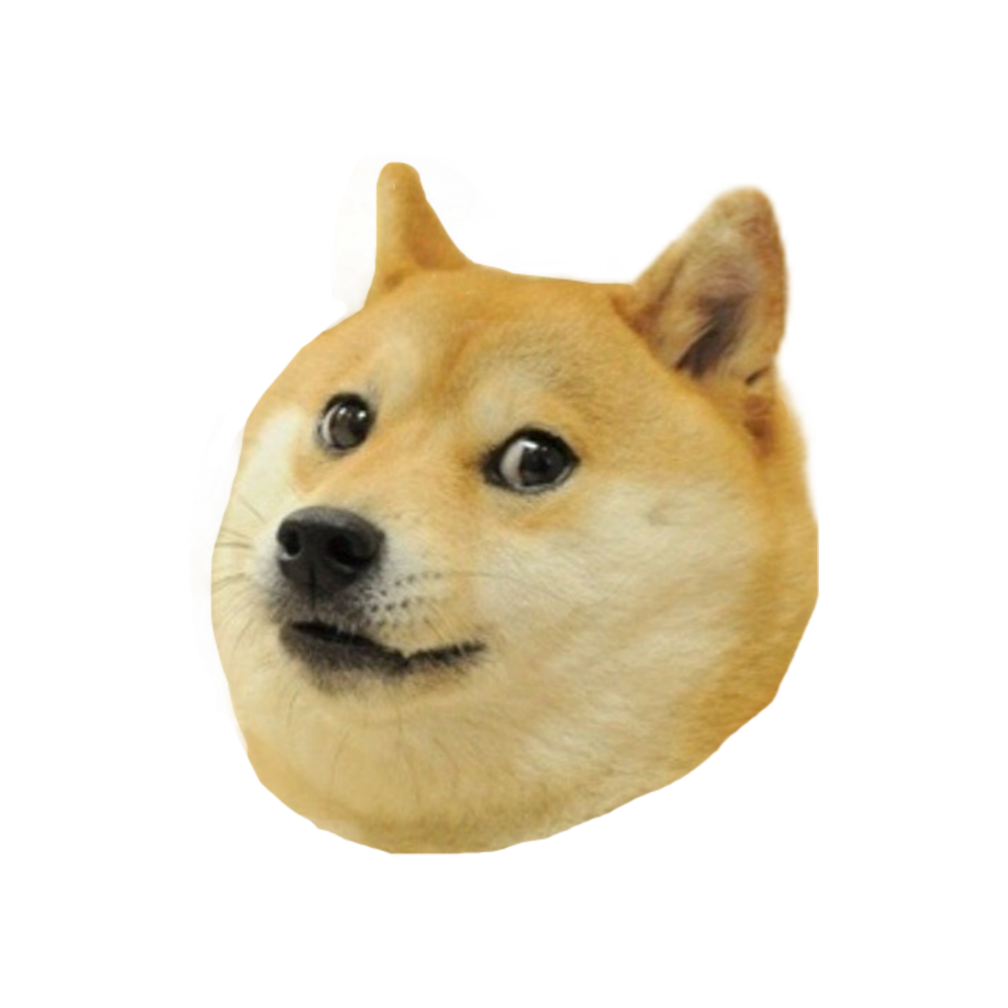 doge-face-png-pngmoon-png-images-coloring-pages