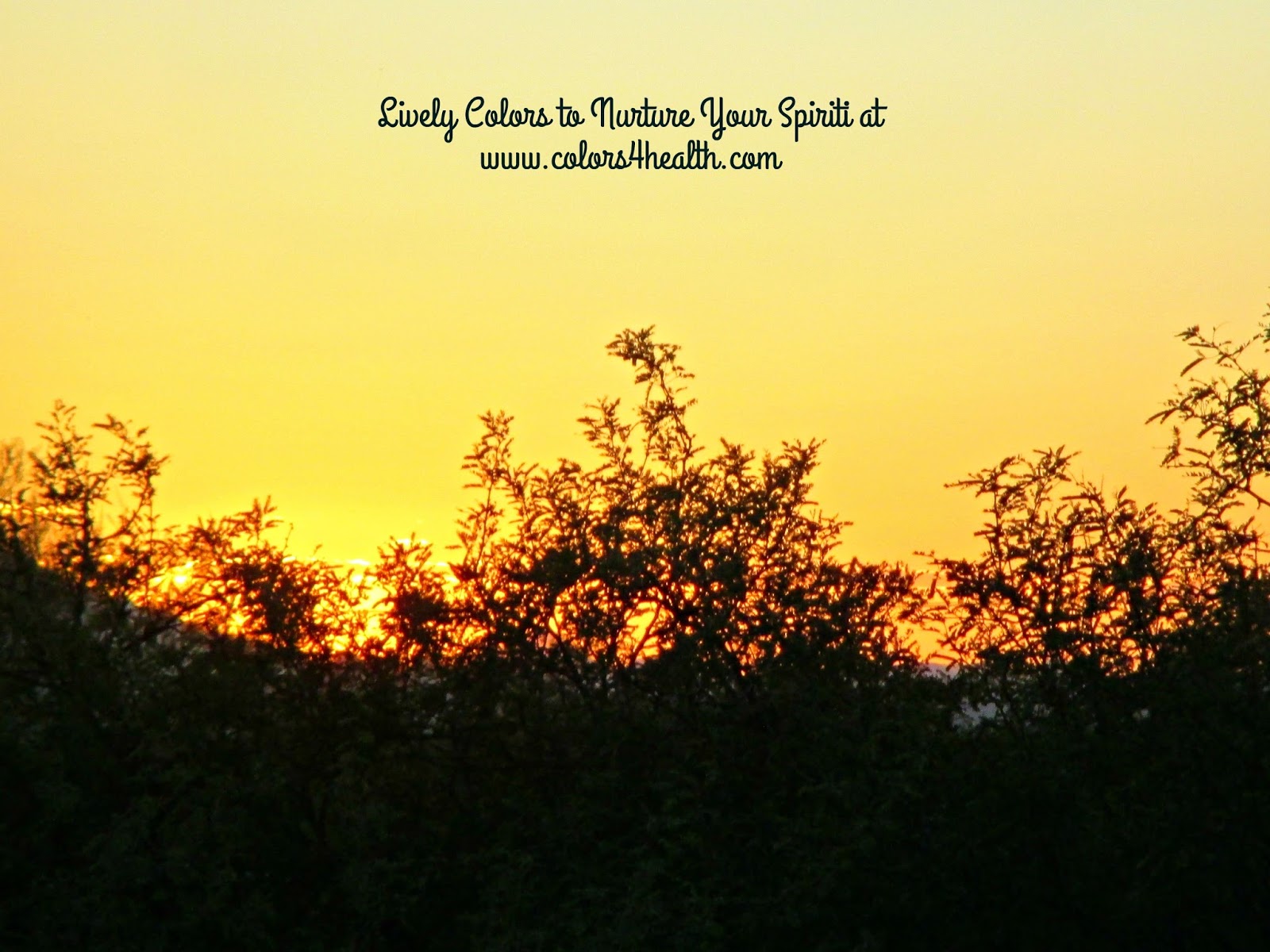 Colors 4 Health Lively Colors To Nurture Your Spirit