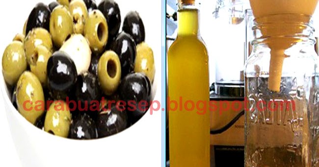 Cara Membuat Minyak Zaitun Olive Oil Sendiri Resep Masakan Indonesia Cara Membuat Minyak Zaitun Olive Oil Sendiri Resep Masakan Indonesia