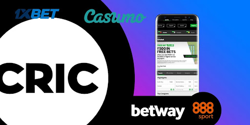 What's New About betting app cricket