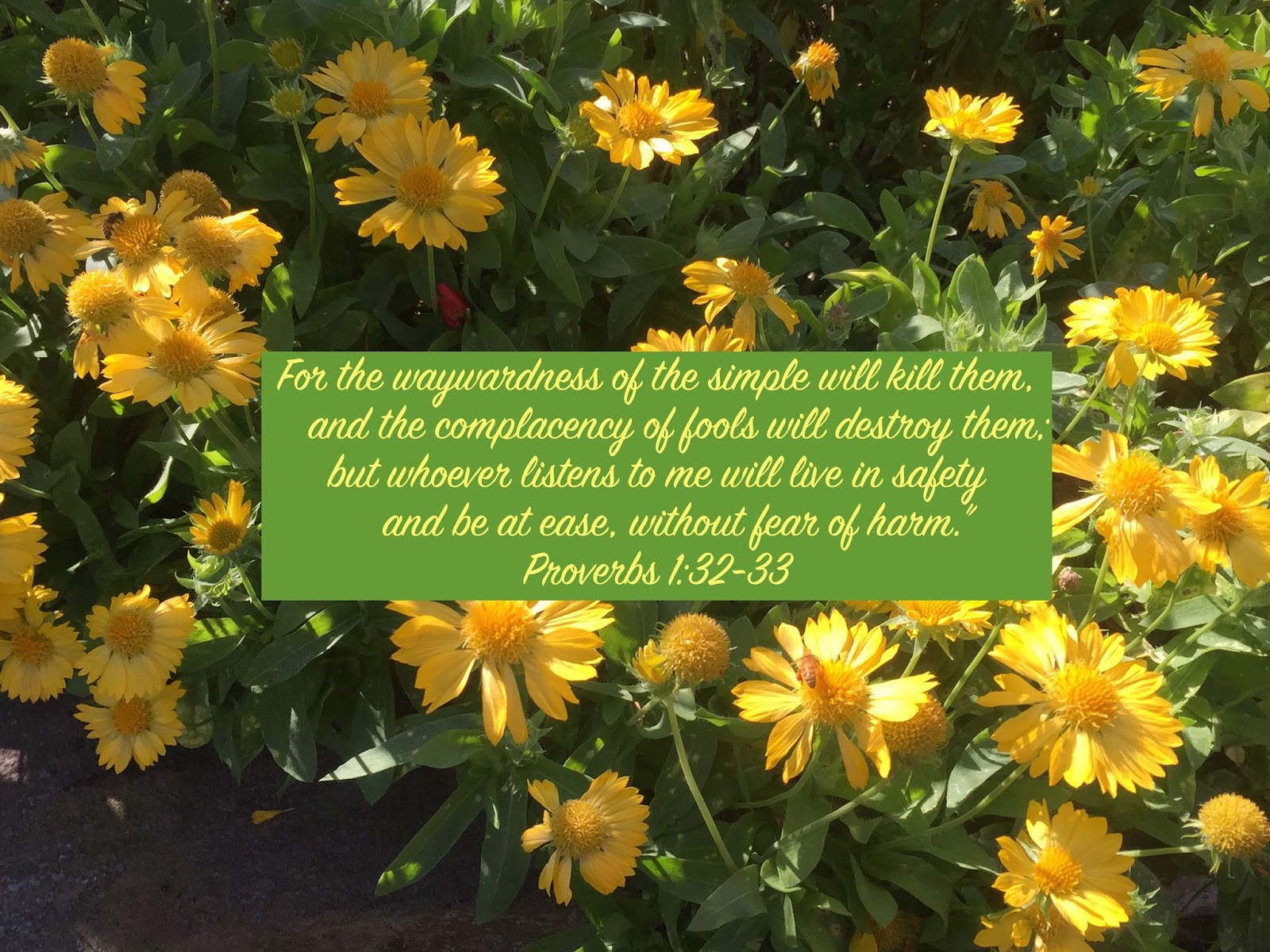 My Strength Proverbs 1 20 33 God s Not Dead my-strength-proverbs-1-20-33-god-s-not-dead