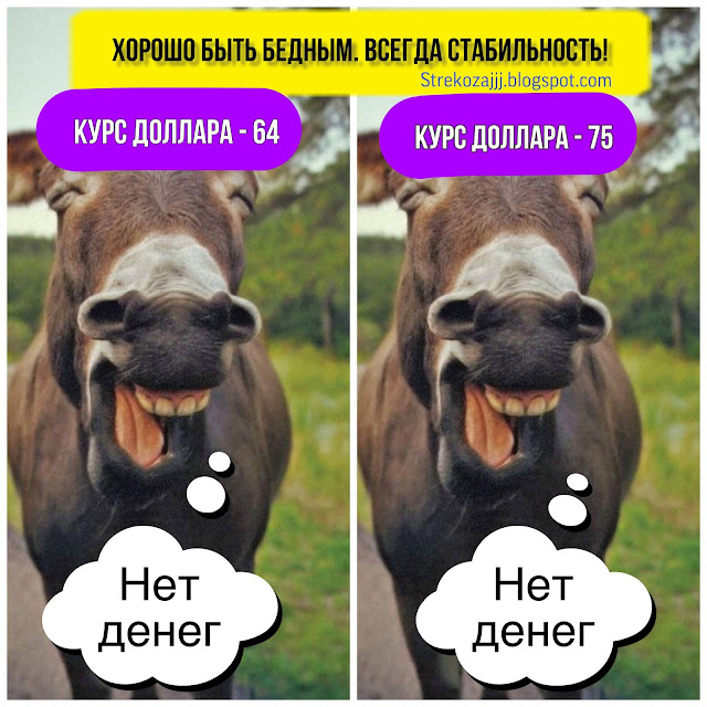 О текущей ситуации в мире с юмором) Коронавирус и скачок доллара. О текущей ситуации в мире с юмором) Коронавирус и скачок доллара.