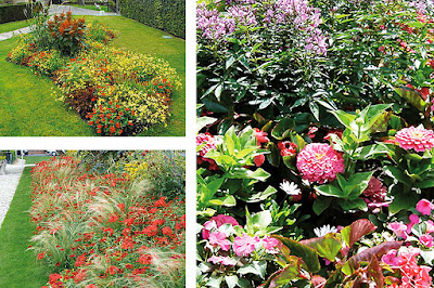 Macizos Ornamentales Proyecto Ciudades de Colores