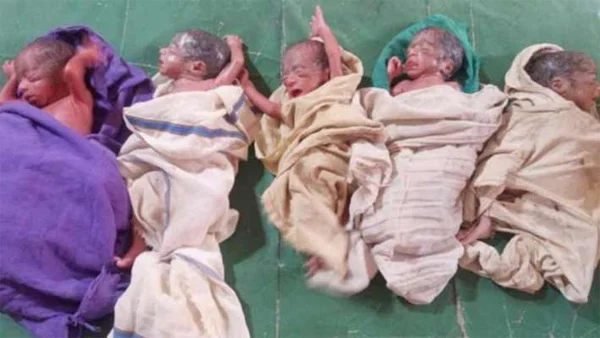 News, National, India, Uttar Pradesh, Lucknow, Women, Birth, Babies, Husband, Hospital, Health, A woman in Uttar Pradesh’s Barabanki gave birth to five babies