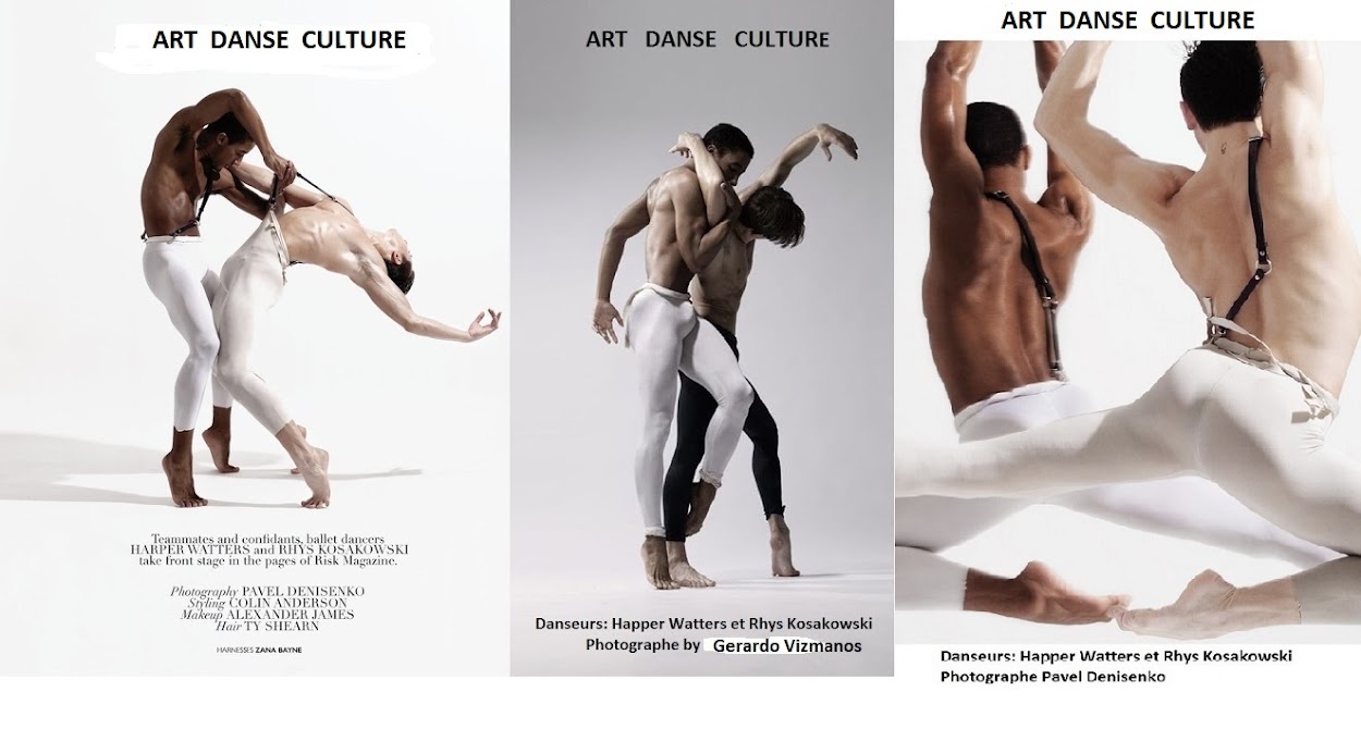        ART DANSE CULTURE