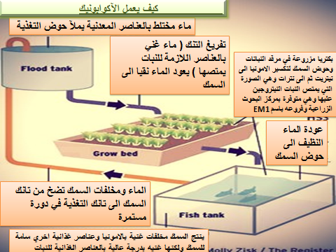 Global Agri jobs