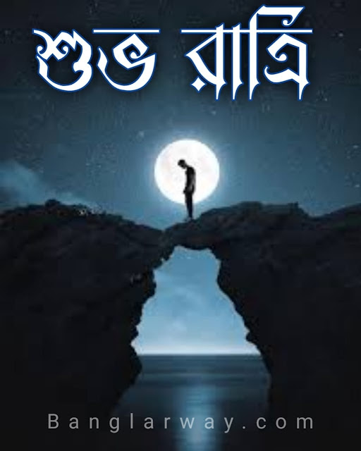 Bangla Good Night Image, Good Night Shayari image