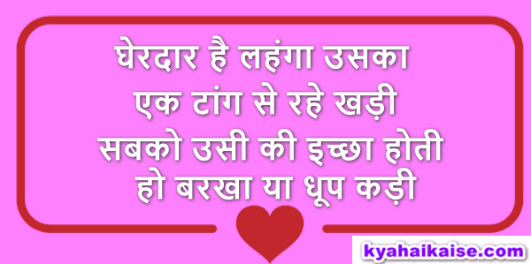 घेरदार है लहंगा उसका, एक टांग से रहे खड़ी घेरदार है लहंगा उसका, एक टांग से रहे खड़ी