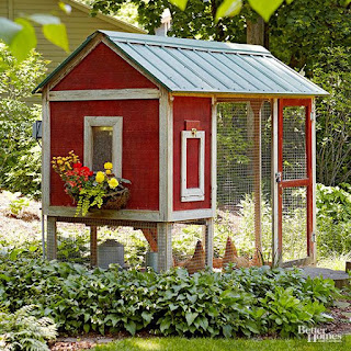 rabbit's house rabbit's house