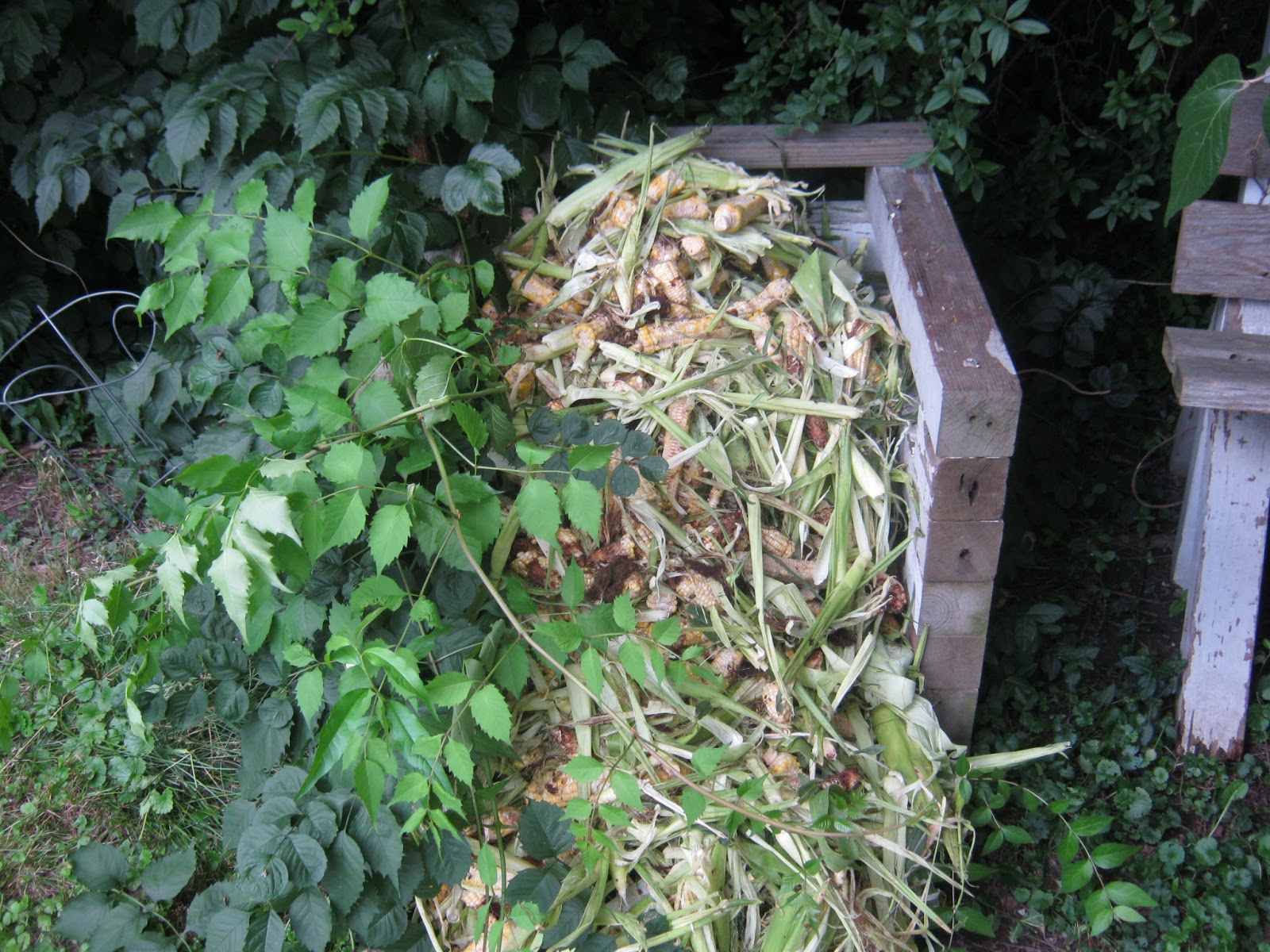 Observations in Agriculture: My Compost Bin
