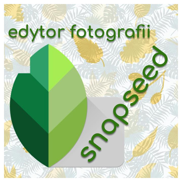 Technologie. Jak edytować zdjęcia na smartfonie. Aplikacja Snapseed