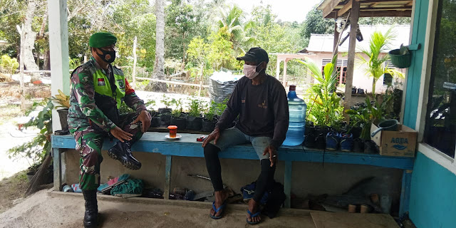 Warga Desa Tapau Mulai Mengembangkan Tanaman Karet Warga Desa Tapau Mulai Mengembangkan Tanaman Karet