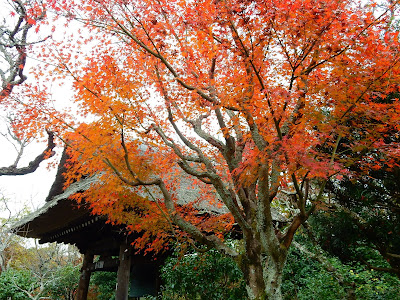 東慶寺の紅葉