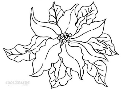 Poinsettia coloring page 2