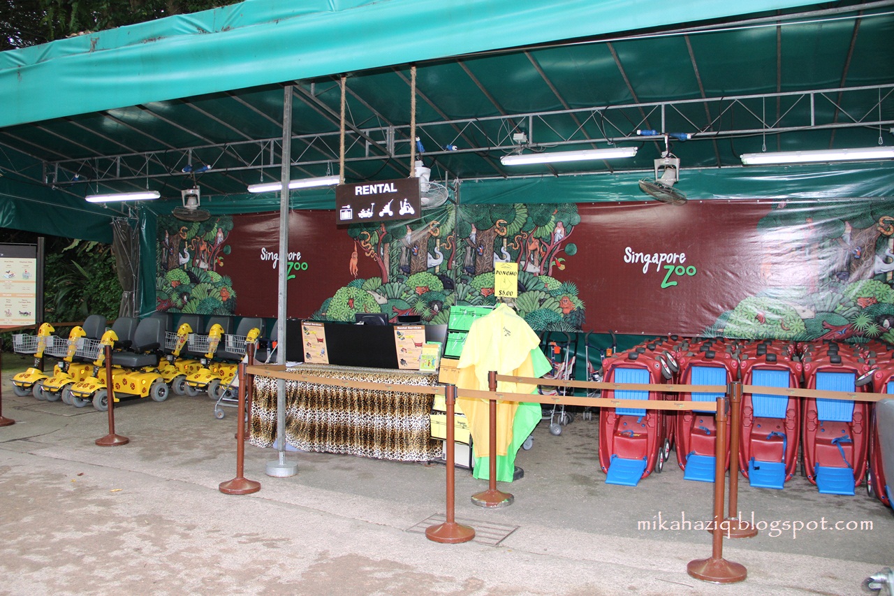 mikahaziq Singapore Zoo Animals Loads of fun for kids