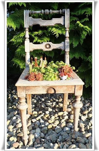 Happy Sonne: Von Hauswurz und Beton-Gugelhupf....