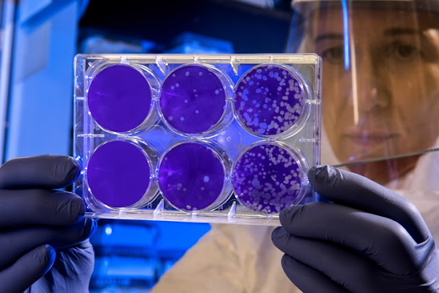 Coronavirus: Google Launches SOS Alert for all the related searches Coronavirus: Google Launches SOS Alert for all the related searches