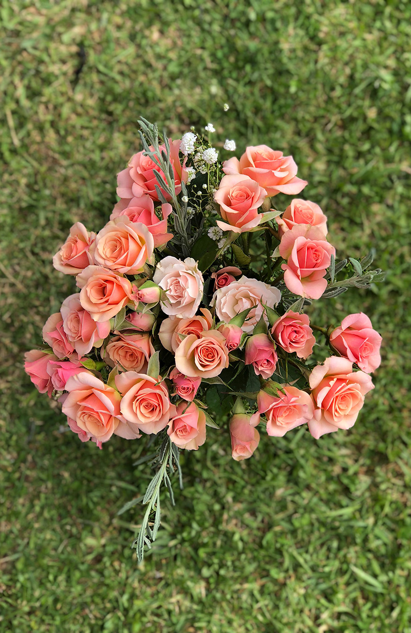 اجمل صور ورد خلفيات شاشه الهاتف الجوال hd