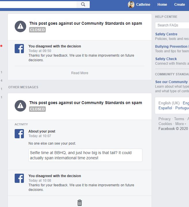 Bionic Basil® home of Basil and The B Team How To Get Out Of FaceBook