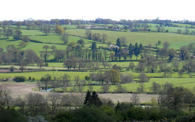 Mayfield landscape