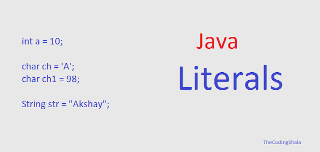 Java Literals - The Coding Shala