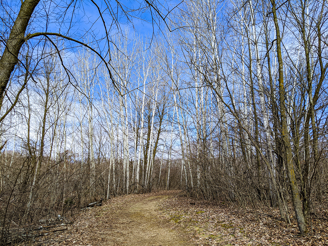 Hiking the New Fane Trails in the Northern Kettle Moraine