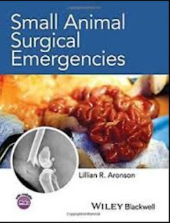 Small Animal Surgical Emergencies 1st Edition