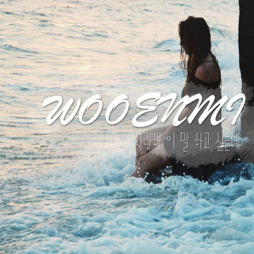 Woo Eun Mi – 사랑해 이 말 하고 싶은데 – Single
