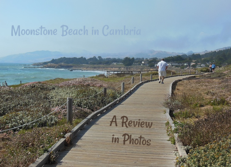 Moonstone Beach in Cambria A Review in Photos