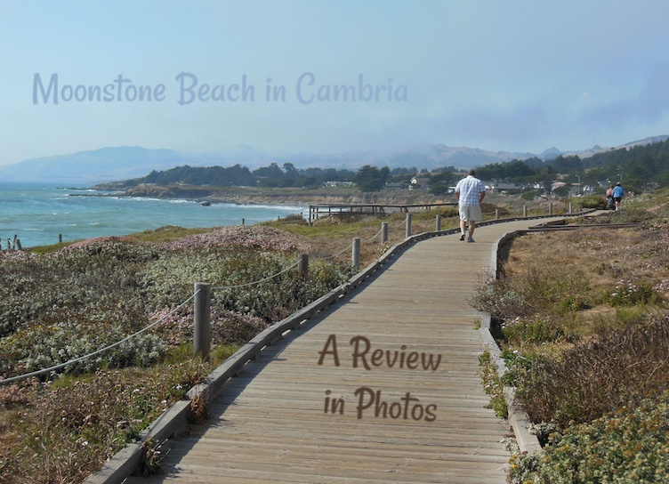man walking on moonstone beach in cambria california