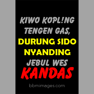 Gambar Lucu Bergerak Bahasa Jawa Ngapak PalingApikPokoke! - Kochie Frog