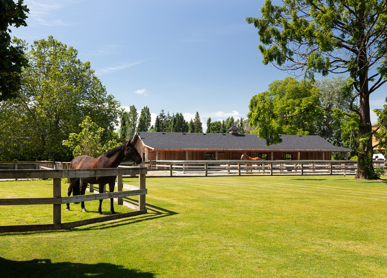 Vancouver Equestrian Estate [ Stable Insider ]