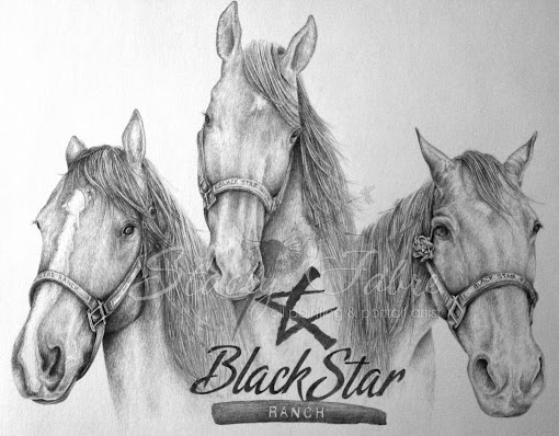 Black Star Ranch Drawing