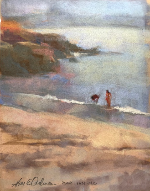 Aline Ordman Art pastels on velour