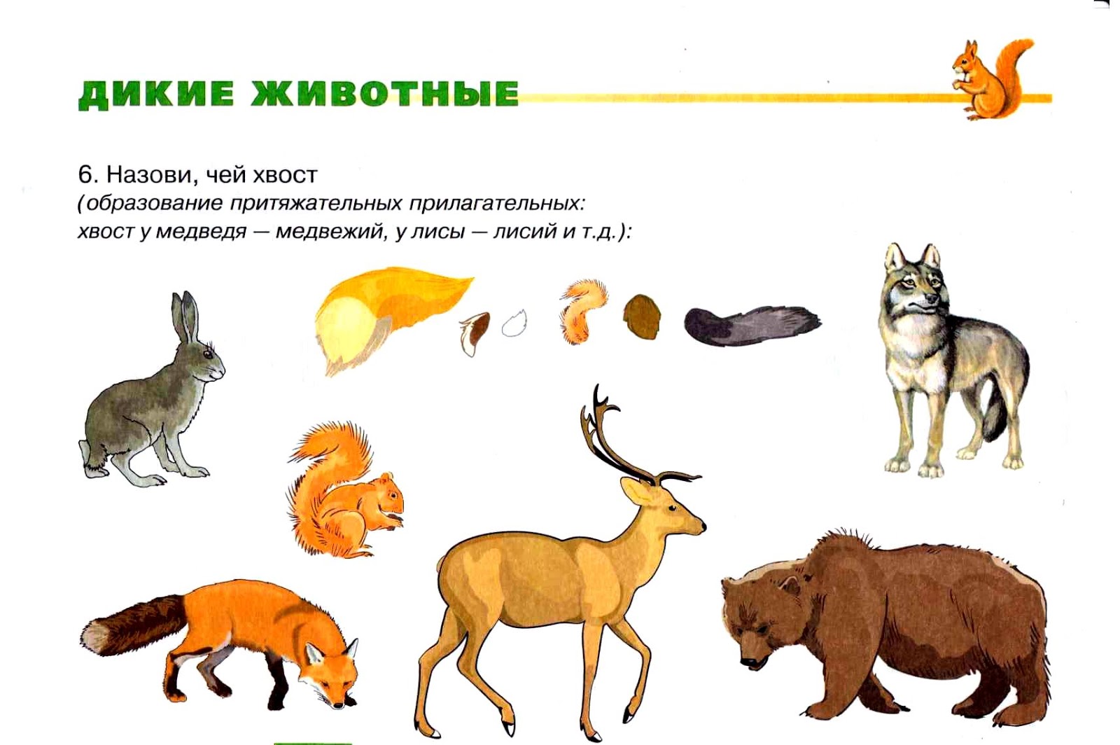 Дикие животные для дошкольников