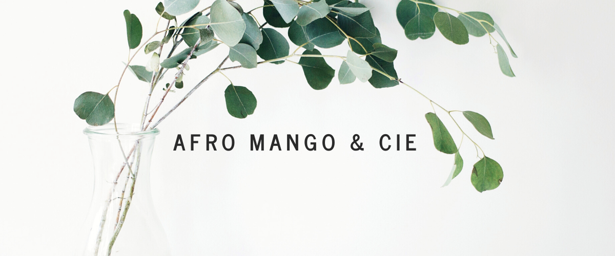 BLOG AFRO MANGO & CIE