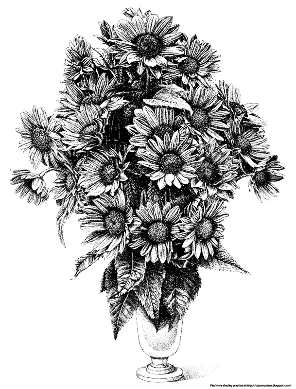 Crayon Palace Practice Shading a Vase of Sunflowers
