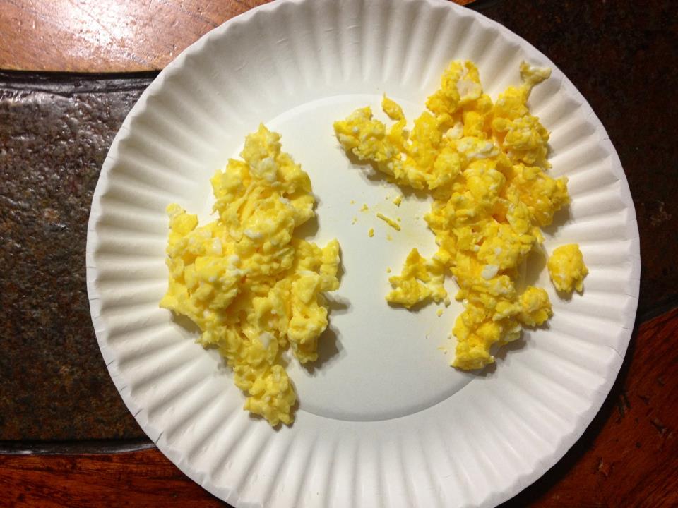 My Crazy Country Life Store bought eggs vs. Fresh farm eggs