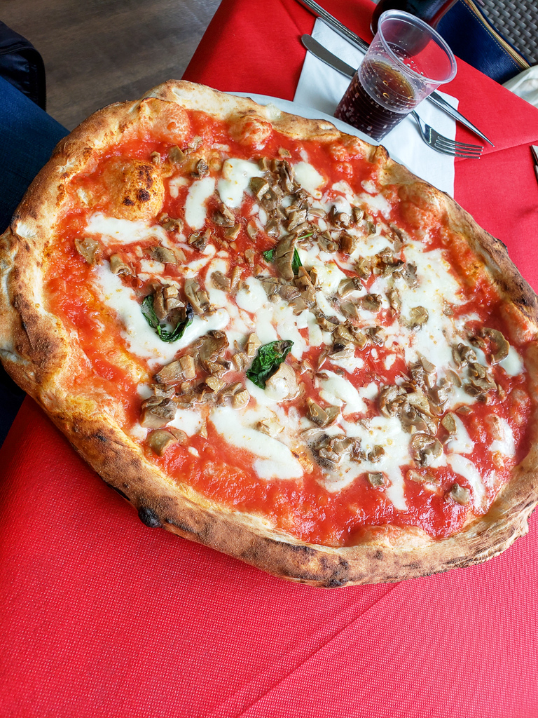 Committed Stitcher Oliva Pizza Committed Stitcher Oliva Pizza