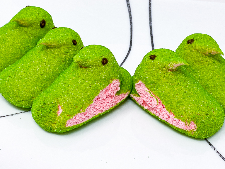 Tales of the Flowers Sour Watermelon Peeps