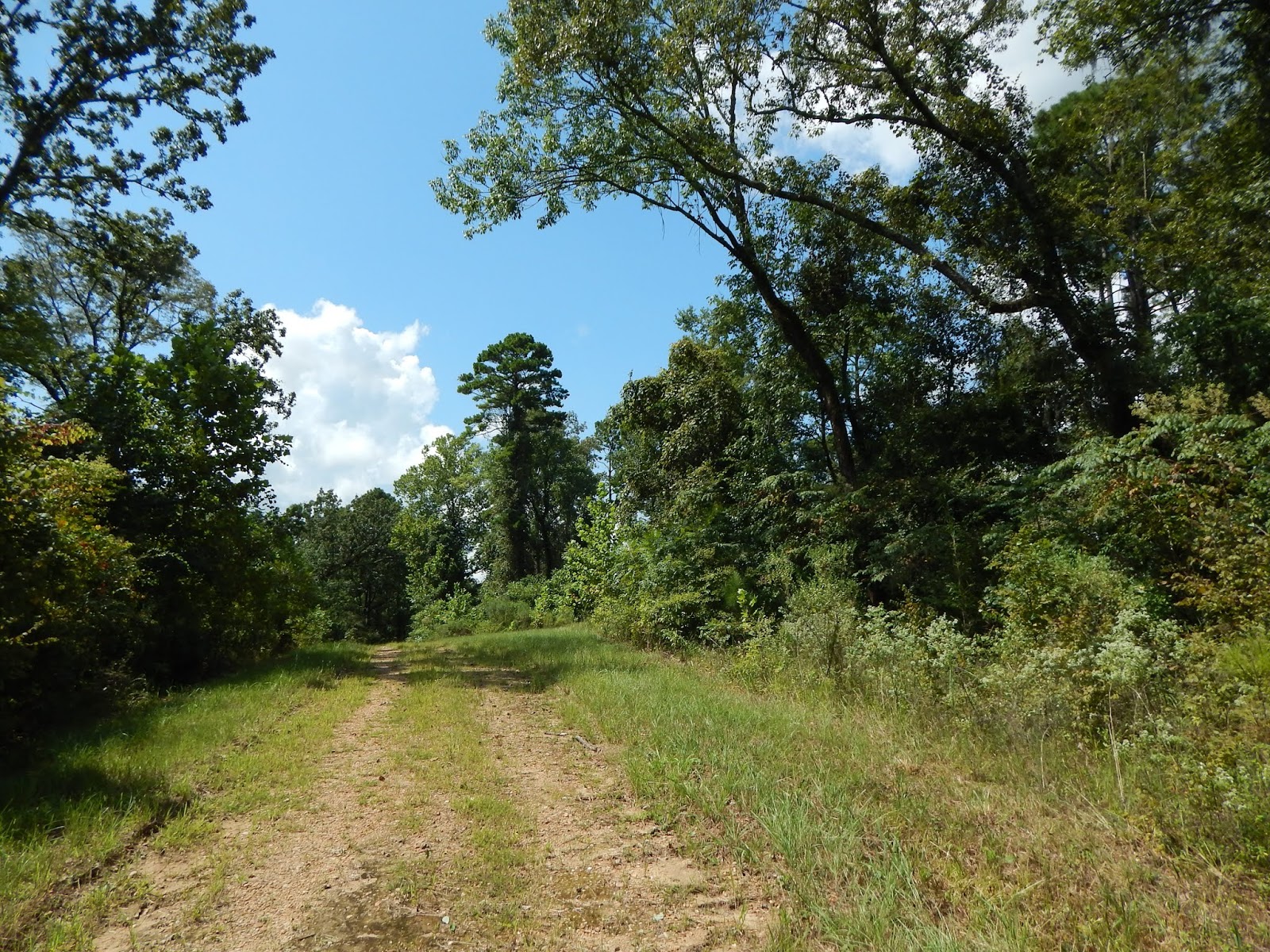 Central Louisiana Birding & Wildlife Sicily Island Hills WMA and Fort Beauregard Historical