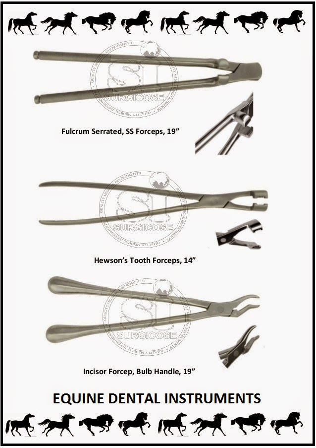 SURGICOSE DENTAL INSTRUMENTS EQUINE DENTAL TOOLS