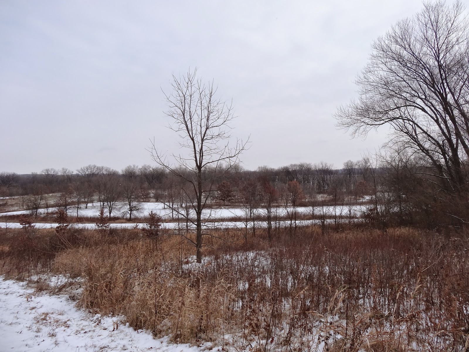 Mama's Basecamp: Day Hike at Governor Nelson State Park