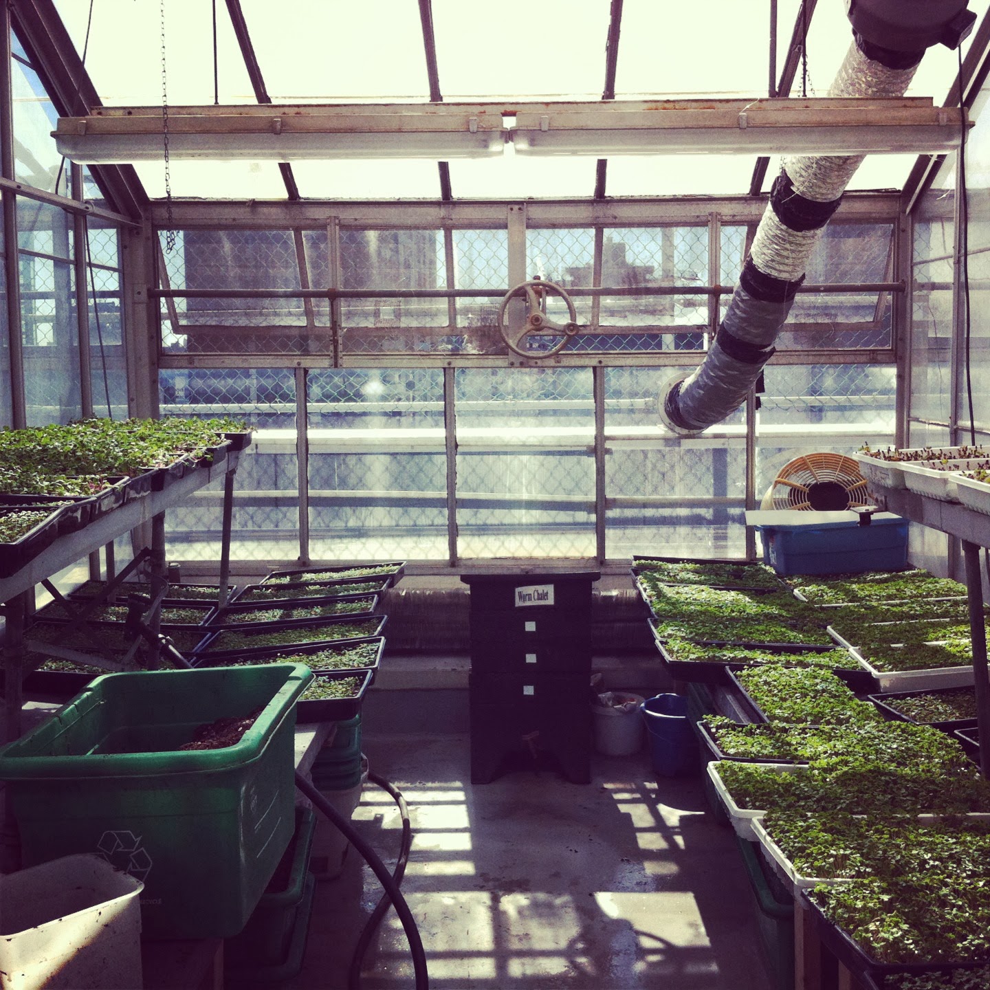 myriad ways Four Seasons Project Concordia Greenhouse